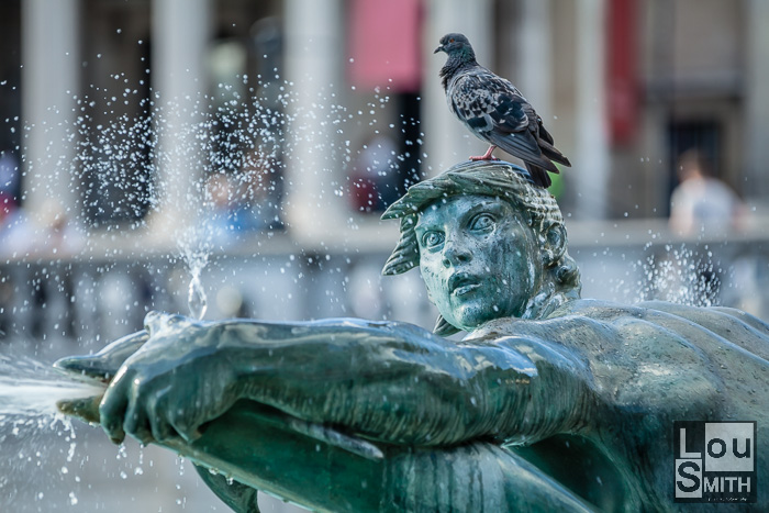 London Photography Tour