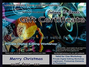 landscape in orange - gift certificate digital imaging